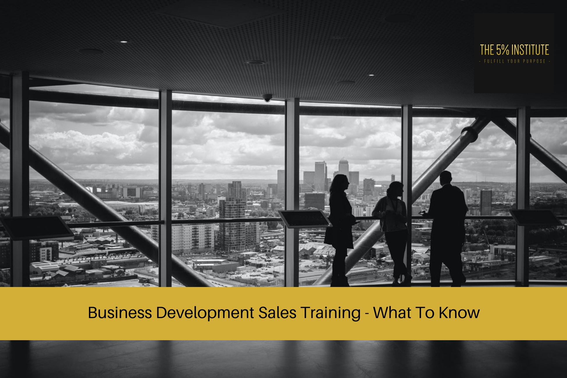 Business Development Sales Training